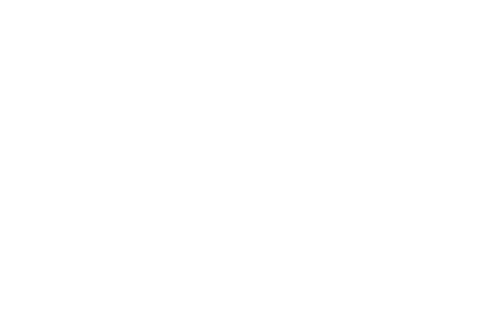 Official Selection - First-Time Filmmaker Sessions Volume 4 - 2026